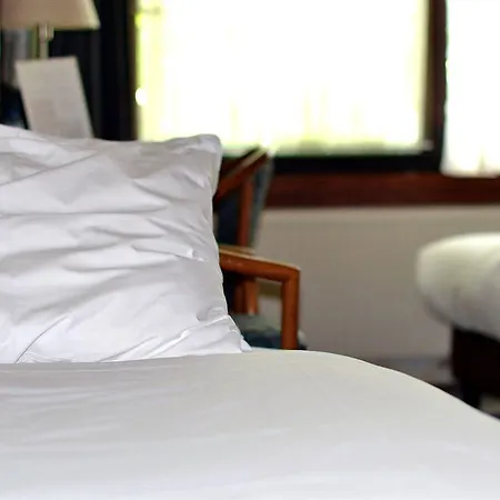 Badhotel Отель