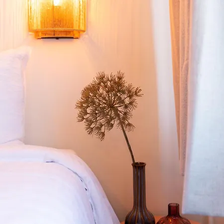 Badhotel 호텔 3*